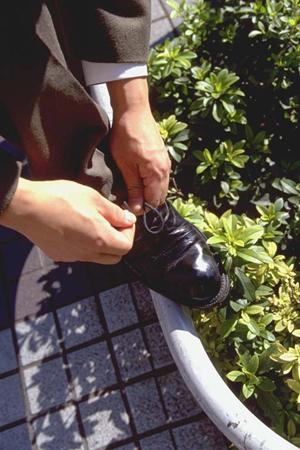 EELなどのブランドが盛り沢山です